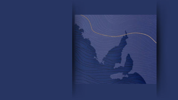 The Vintage Journal: SA Wine Guide 2025