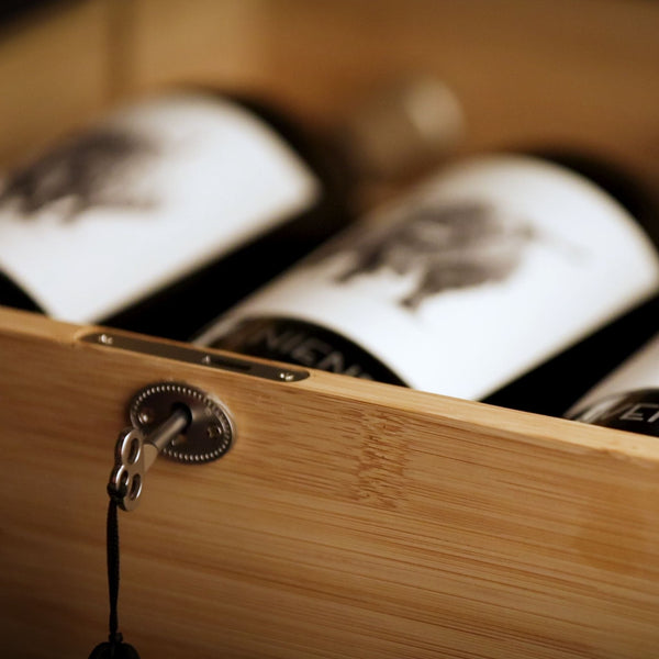 2021 Invenienda Shiraz (3-pack) - Two Hands Wines