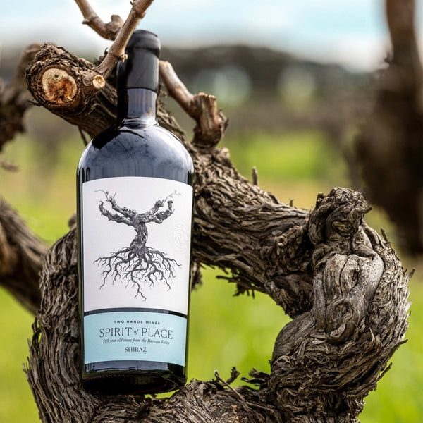 2021 Spirit of Place Shiraz - Two Hands Wines