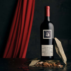 2021 Waterfall Block Shiraz