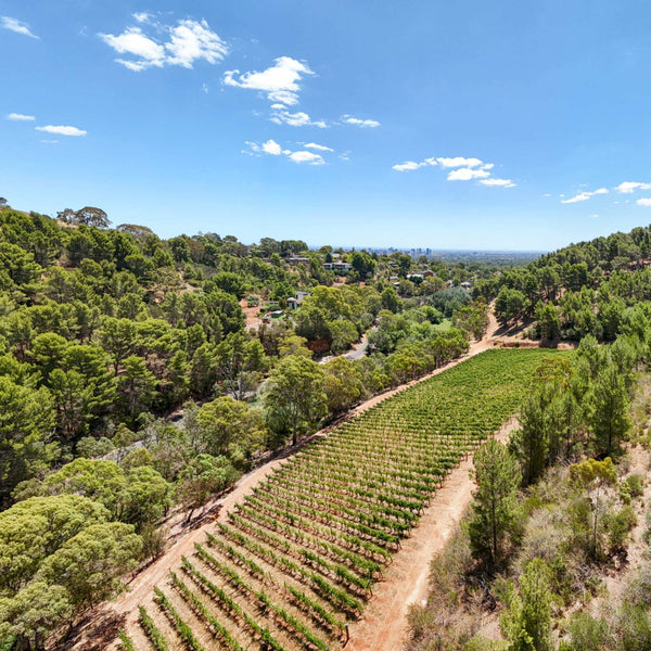 2022 Waterfall Block Shiraz