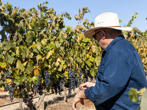 2024 Vintage Report - Two Hands Wines