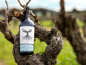 VINOUS | Angus Hughson