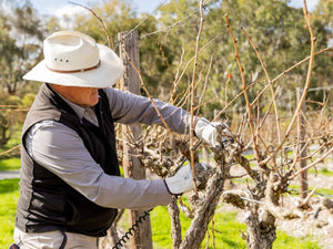 August News 2025 - Two Hands Wines