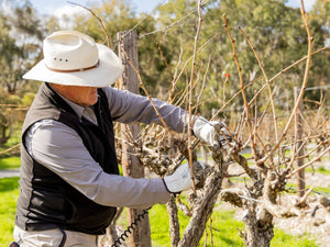 August News 2025 - Two Hands Wines