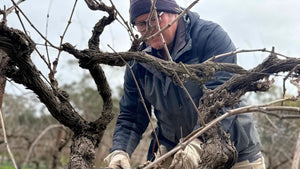August Newsletter 2026 | Instinctively Curious - Two Hands Wines