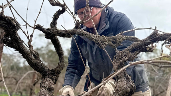 August Newsletter 2026 | Instinctively Curious - Two Hands Wines