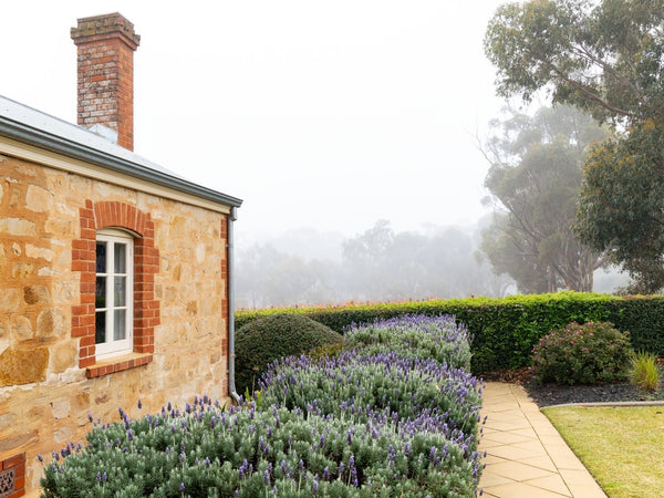 June News 2025 - Two Hands Wines