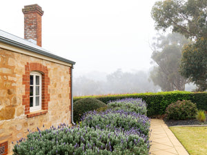 June News 2025 - Two Hands Wines