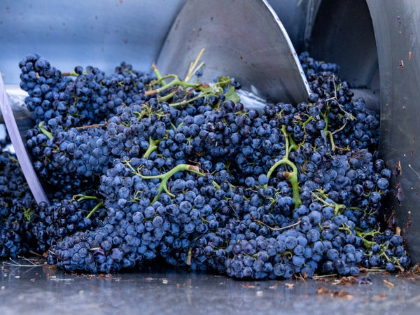 March News 2025 - Two Hands Wines