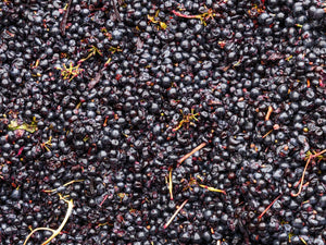 March News 2026 - Two Hands Wines