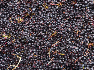 March Newsletter 2026 | Instinctively Curious - Two Hands Wines
