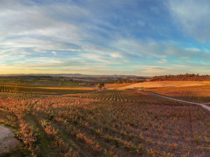 May News 2026 - Two Hands Wines