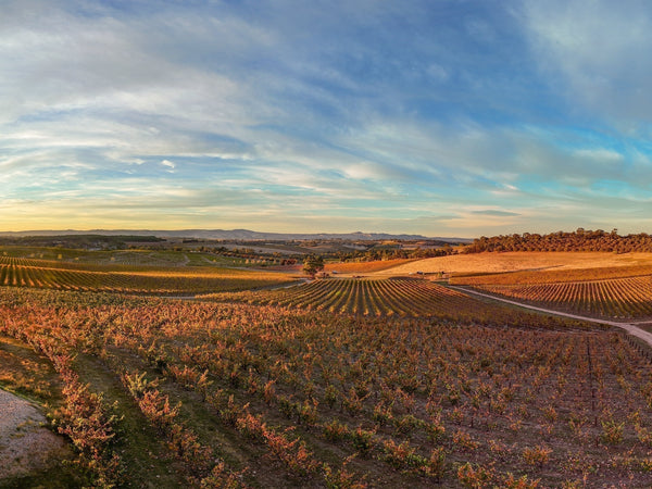 May News 2026 - Two Hands Wines