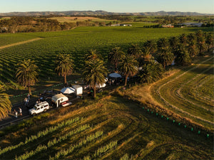 November News 2025 - Two Hands Wines