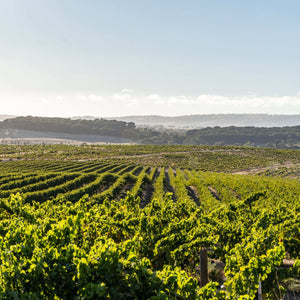 2022 Holy Grail Shiraz - Two Hands Wines