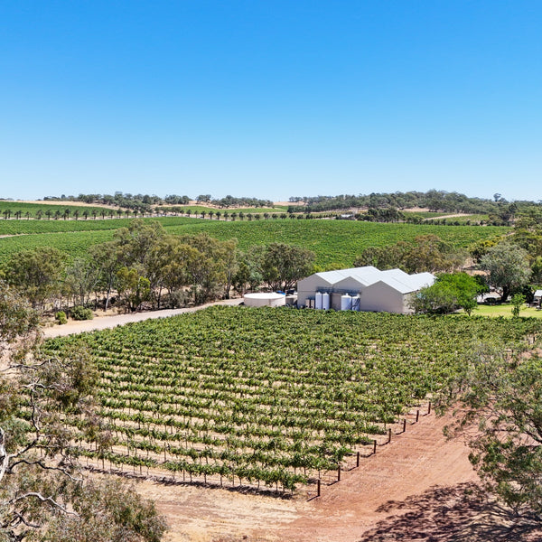 2023 Kraehe House Block Shiraz - Two Hands Wines