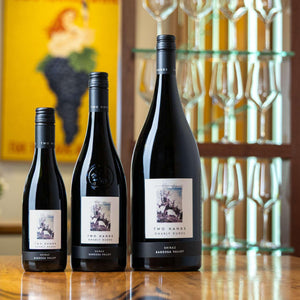 2024 Gnarly Dudes Shiraz 375ml - Two Hands Wines