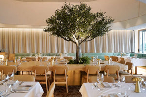 A large dining room with a central decorative tree, round tables set with white tablecloths and glassware, beige chairs, and cream drapery in the background. Black Hide Brisbane