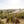 2022 Yacca Block Shiraz