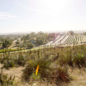 2022 Yacca Block Shiraz