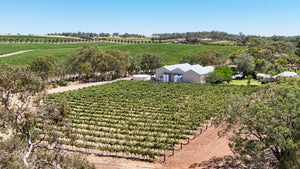 Aerial view of Kraehe House Block vineyard with rows of grapevines and the winery in the background.
