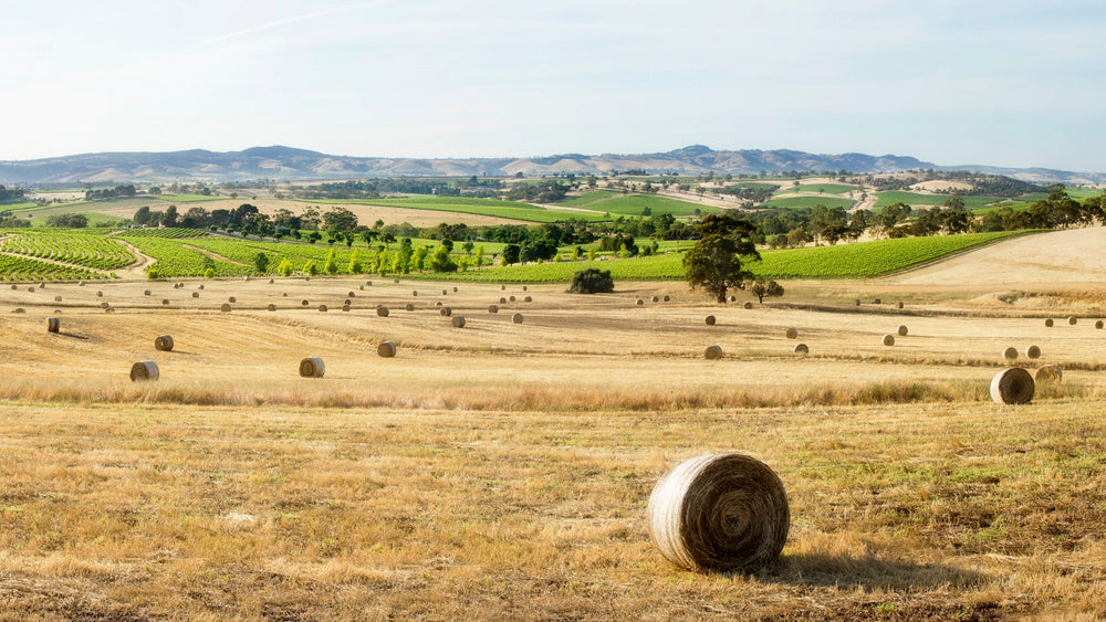 Western Rangers | Two Hands Wines