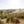 2021 Yacca Block Shiraz
